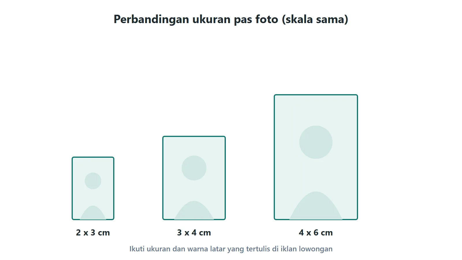 Perbandingan ukuran pas foto 2 x 3 cm, 3 x 4 cm, dan 4 x 6 cm dalam skala yang sama